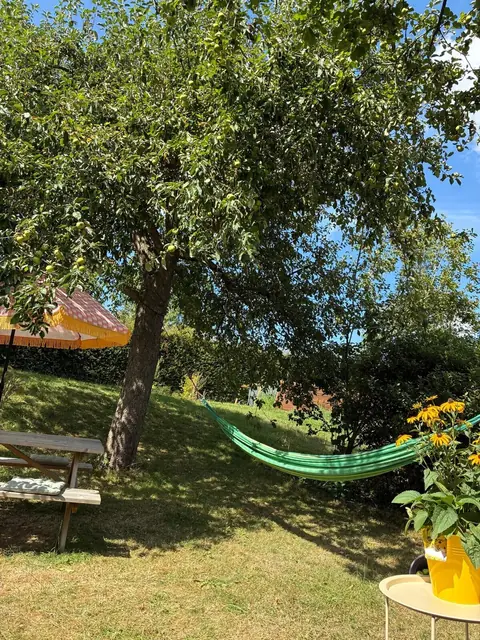 Hangmat onder een fruitboom bij De Appel