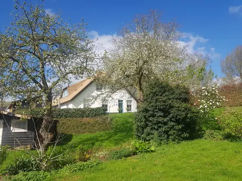 Het witte huis van De Leeuwenbergh tussen bloeiende fruitbomen