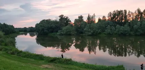 De Waal in avondlicht, met bomen die weerspiegelen in het water