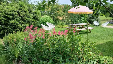 Bloeiende border en parasol in de tuin