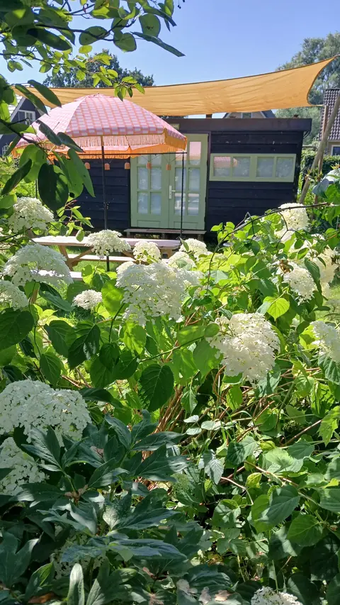 De Walnoot achter een zee van witte hortensia's